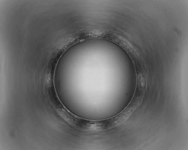 X0000113010564200909031316