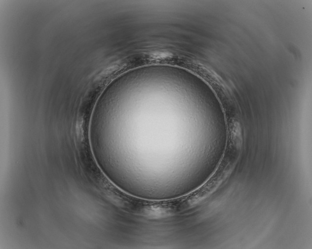 X0000113010565200909031316