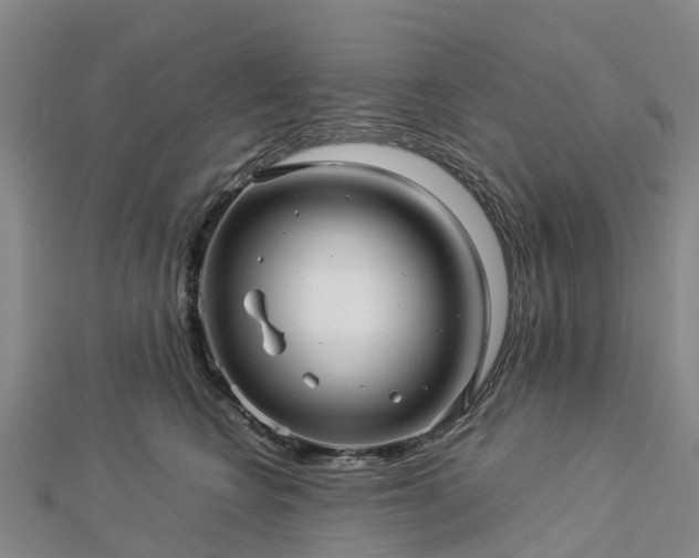 X0000113010566200909031316