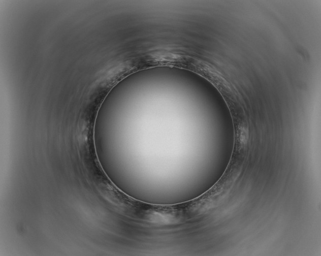 X0000113010567200909031316