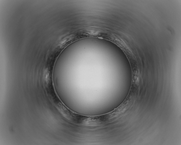 X0000113010568200909031316