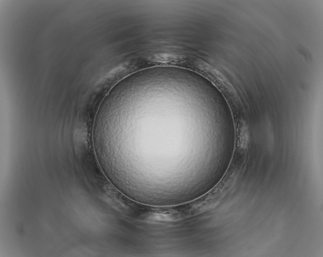 X0000113010569200909031316