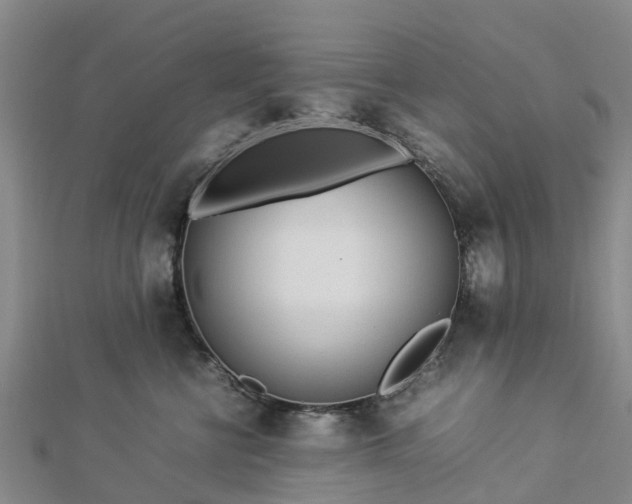 X0000113010570200909031316