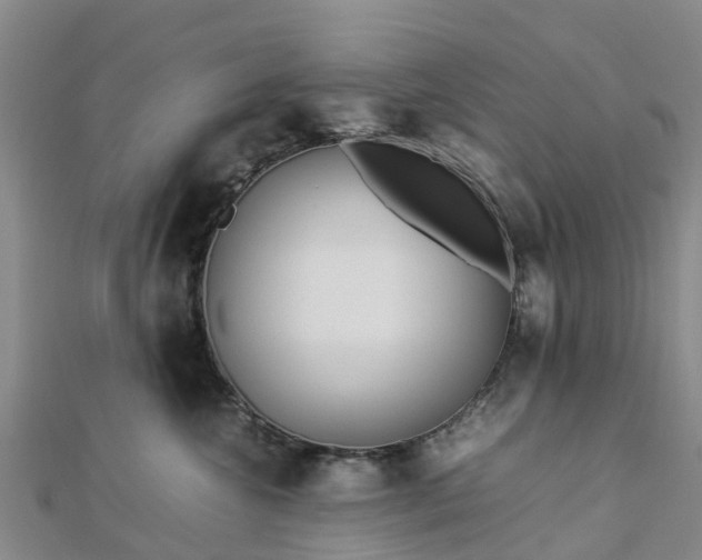 X0000113010572200909031316