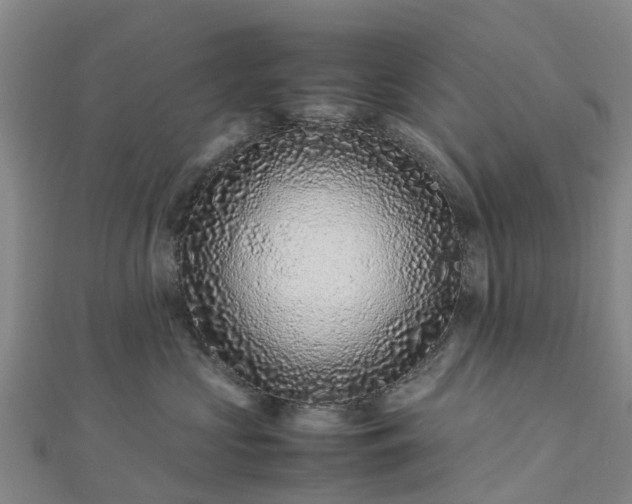 X0000113010573200909031316