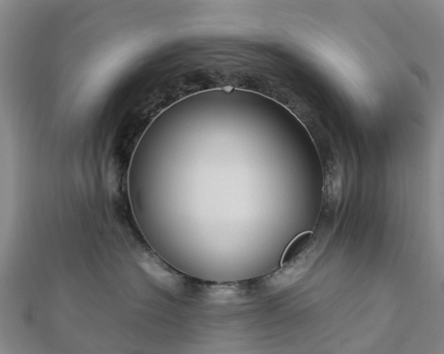 X0000113010574200909031316