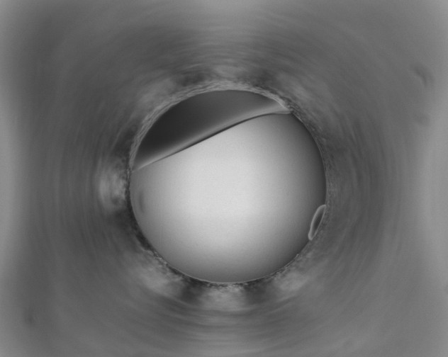 X0000113010576200909031316