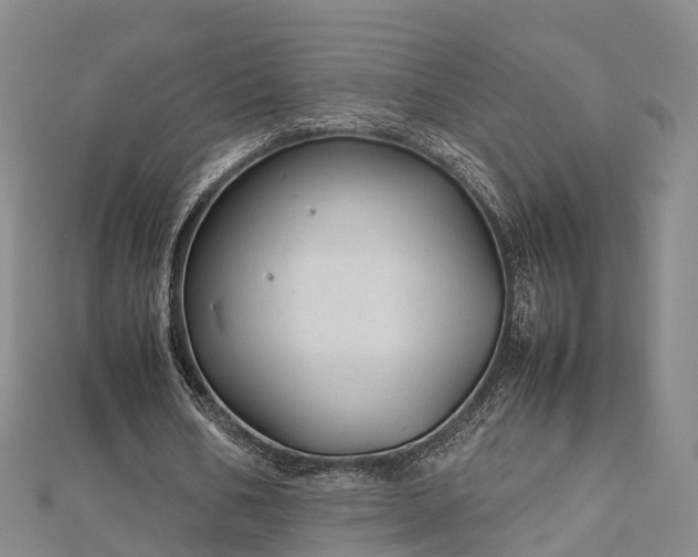 X0000113010578200909031315