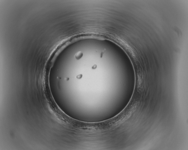 X0000113010580200909031315