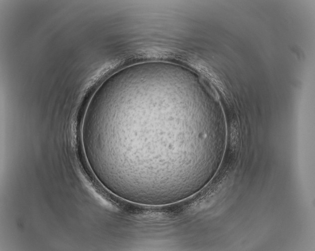 X0000113010581200909031315