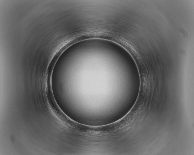 X0000113010582200909031315