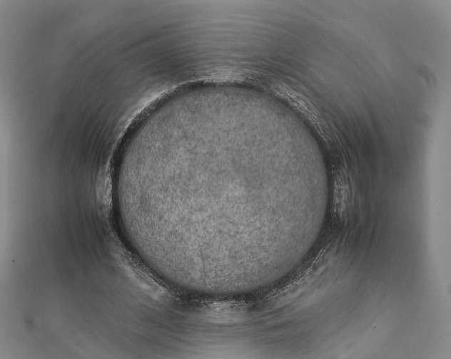 X0000113010584200909031315