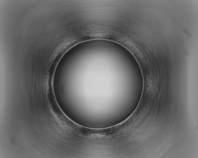 X0000113010586200909031315