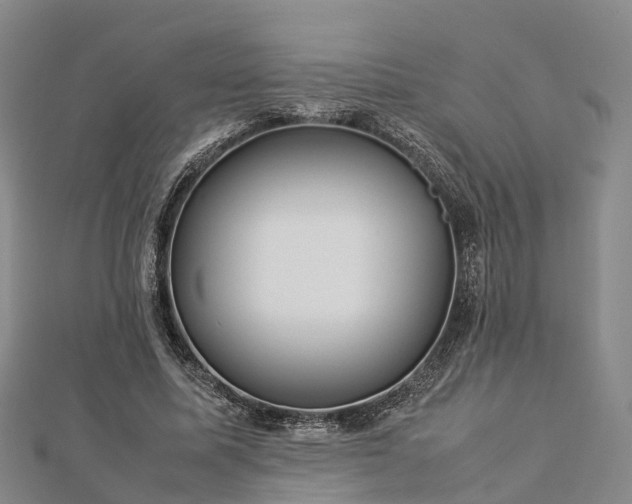 X0000113010587200909031315