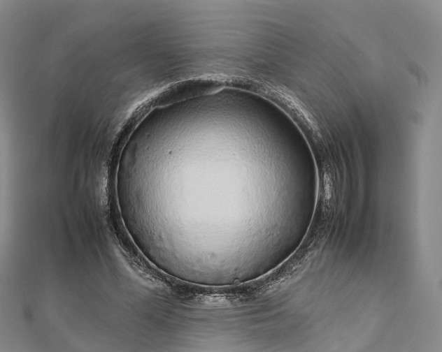 X0000113010588200909031315