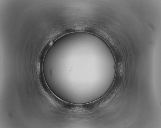 X0000113010589200909031315