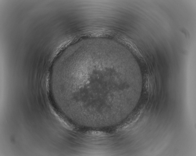 X0000113010590200909031315