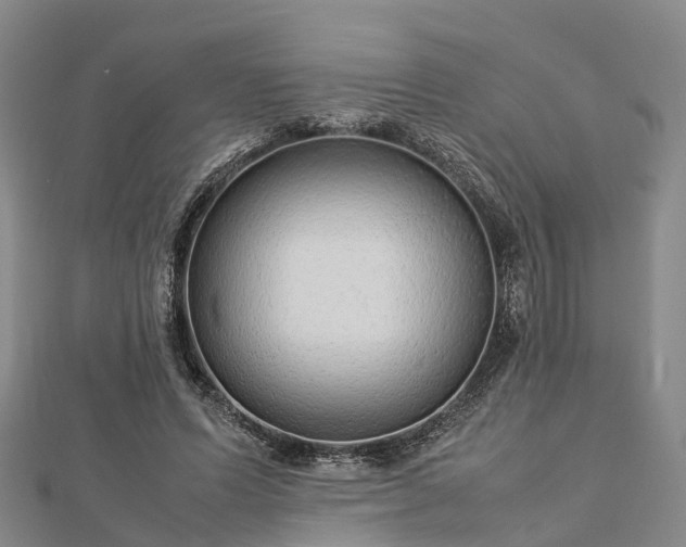 X0000113010591200909031315