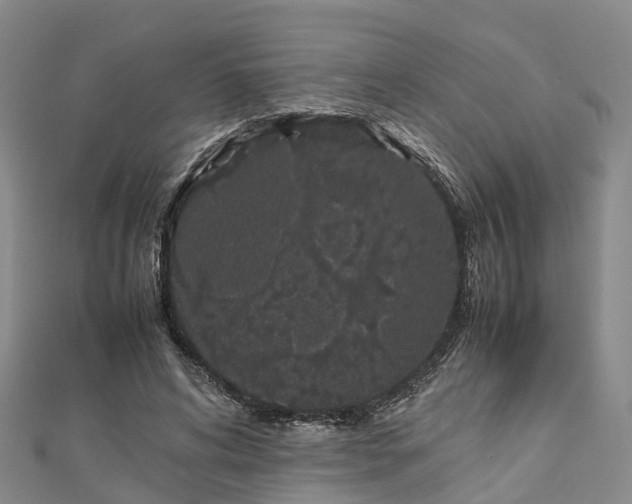 X0000113010592200909031315