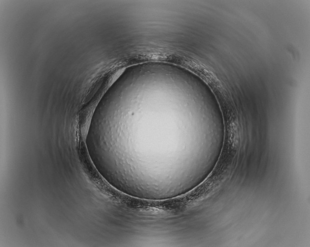 X0000113010594200909031315