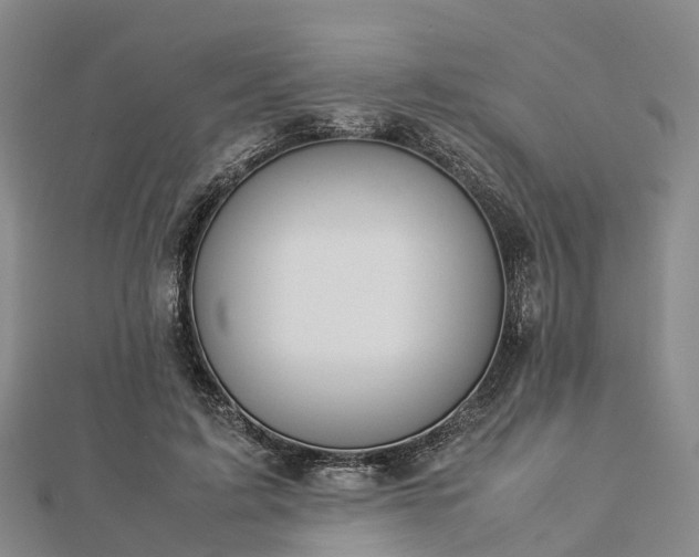 X0000113010595200909031315