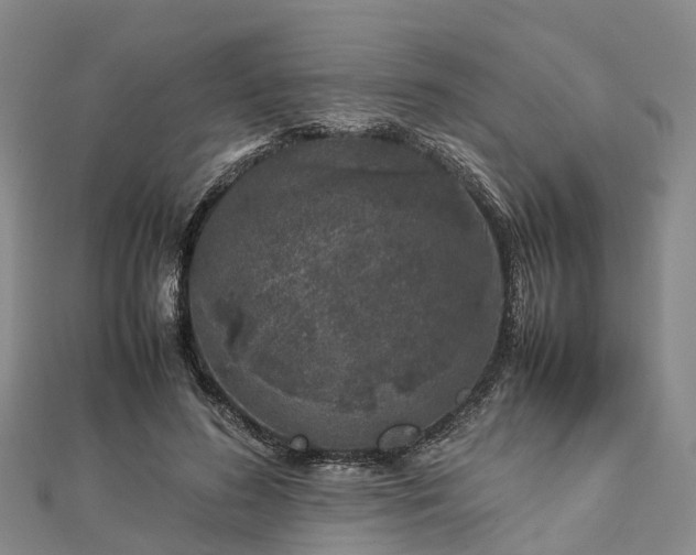 X0000113010596200909031315