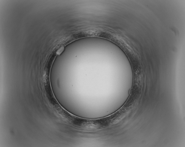 X0000113010597200909031315