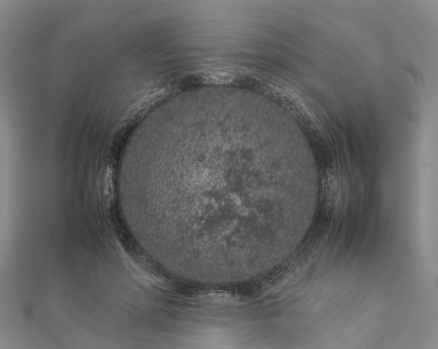 X0000113010598200909031315