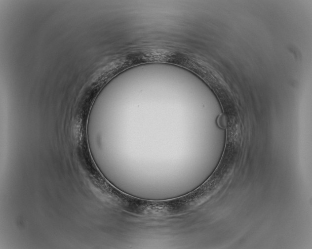 X0000113010599200909031315