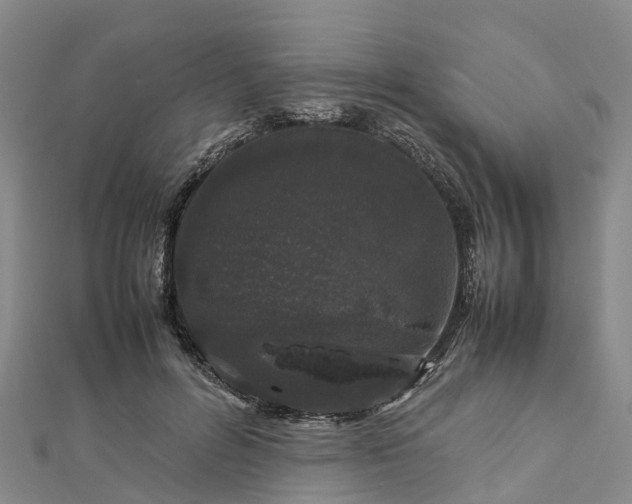 X0000113010600200909031315