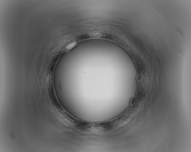 X0000113010601200909031315