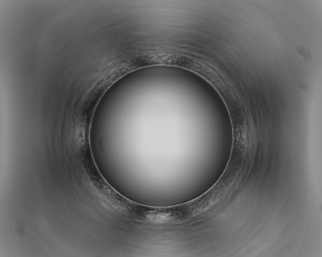 X0000113010602200909031315