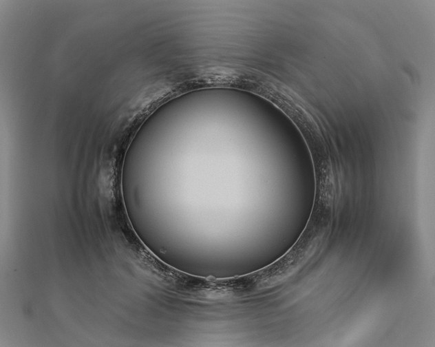 X0000113010604200909031315