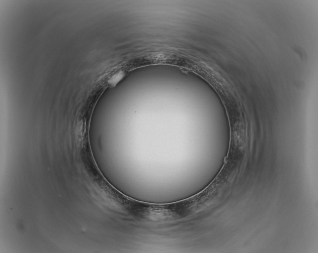 X0000113010605200909031315