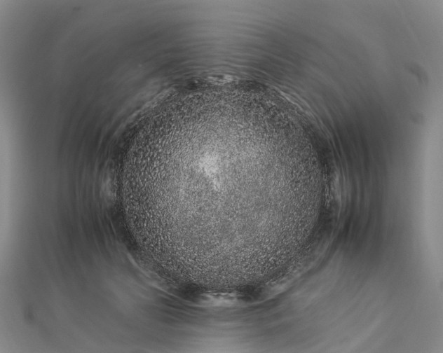 X0000113010606200909031315