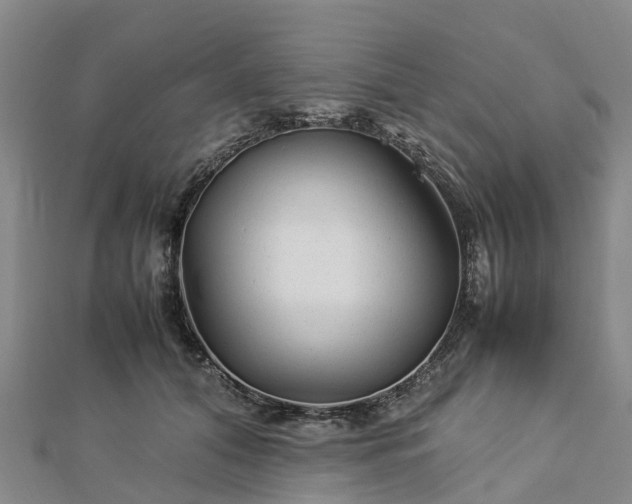 X0000113010608200909031315