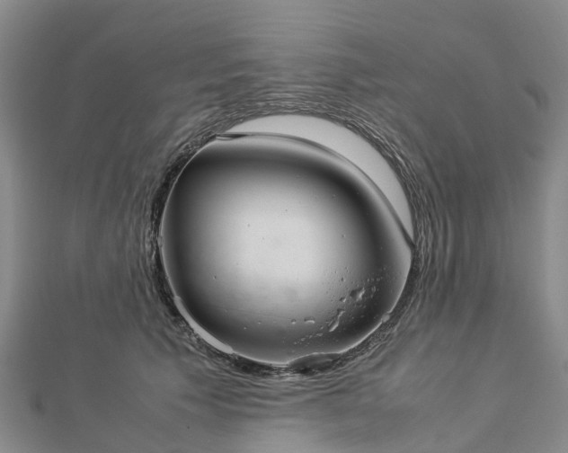 X0000113010609200909031315