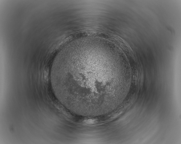 X0000113010610200909031315