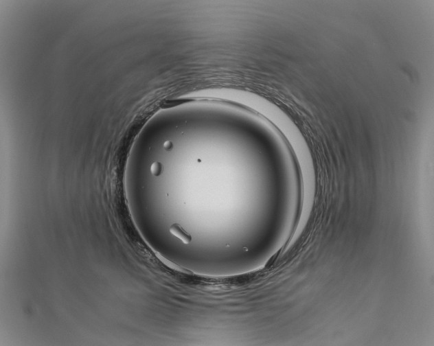 X0000113010611200909031315