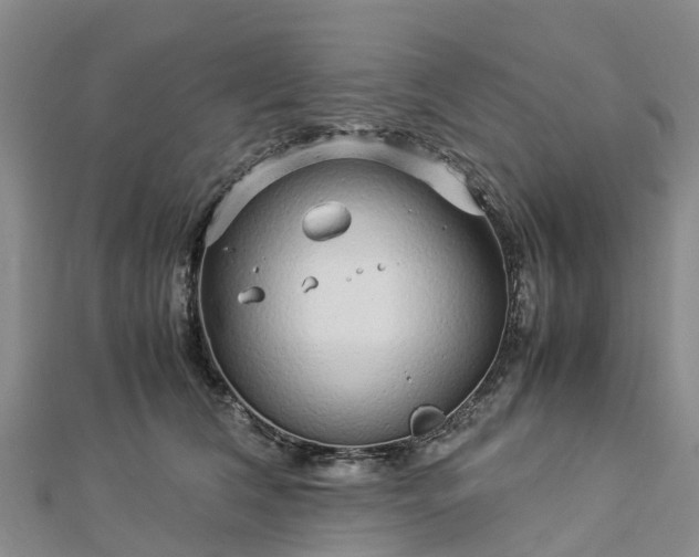 X0000113010612200909031315