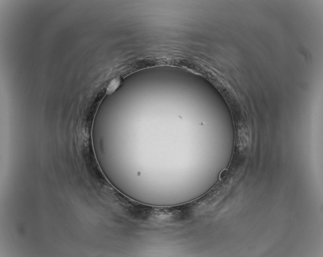 X0000113010613200909031315