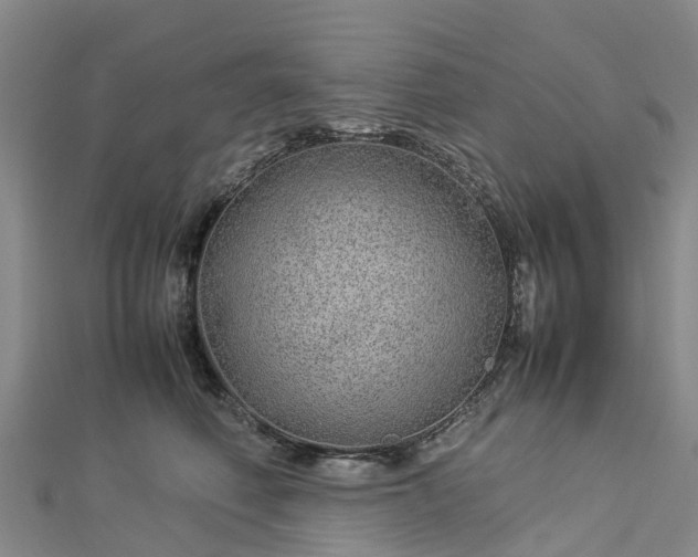 X0000113010614200909031315