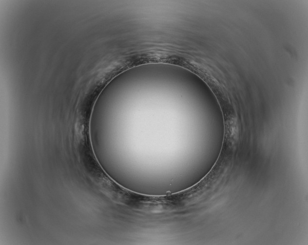 X0000113010615200909031315