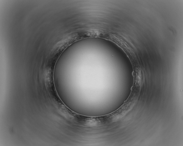 X0000113010616200909031315