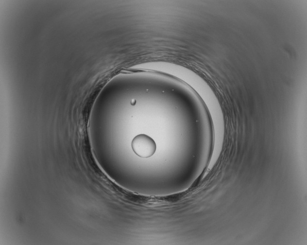 X0000113010617200909031315