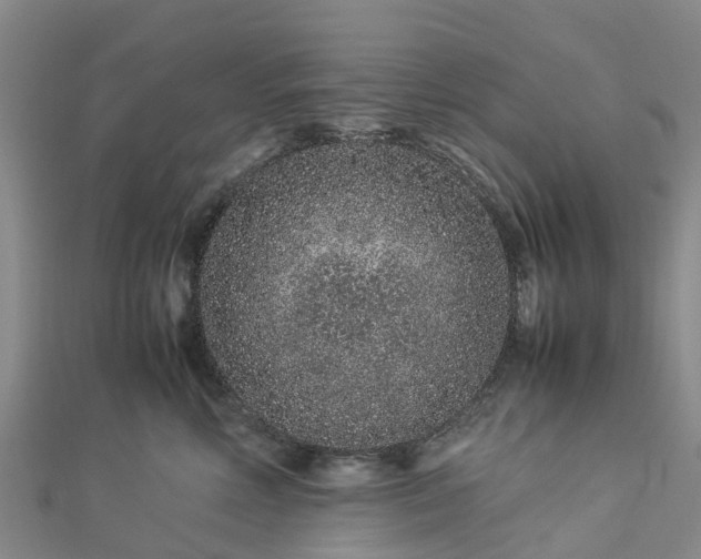 X0000113010618200909031315