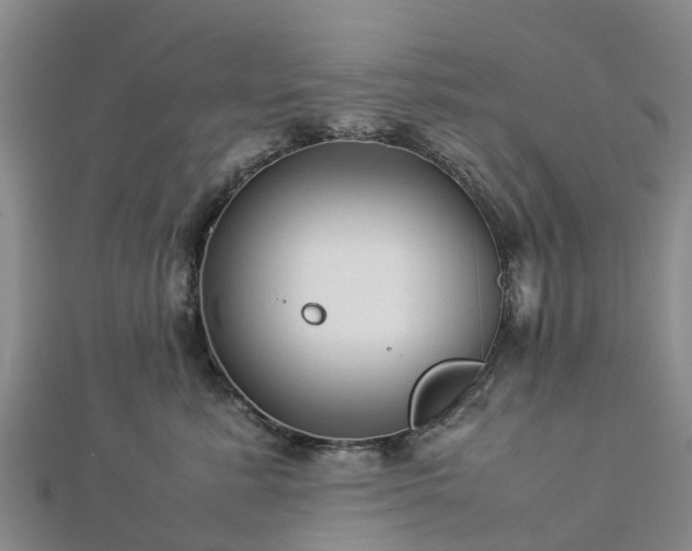 X0000113010619200909031315