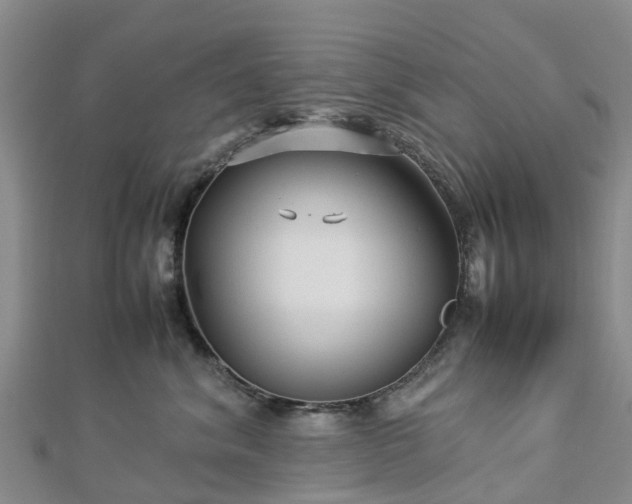 X0000113010620200909031315