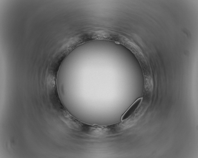 X0000113010621200909031315