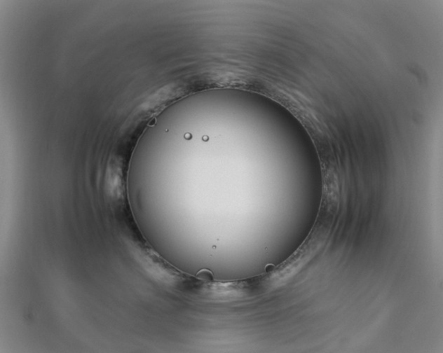 X0000113010622200909031315